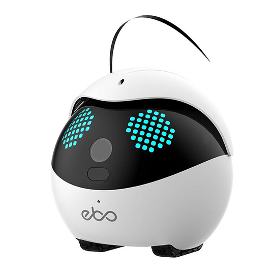 Ebo, The Smart Robot Ebo, The Smart Robot